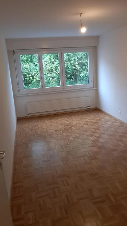Schönes 3.5-Zimmer-Apartment im Blecherette-Viertel