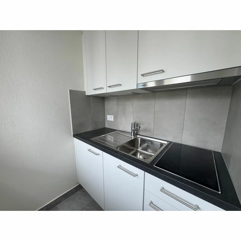 Renovated studio - Available immediately, ideal for a first home!