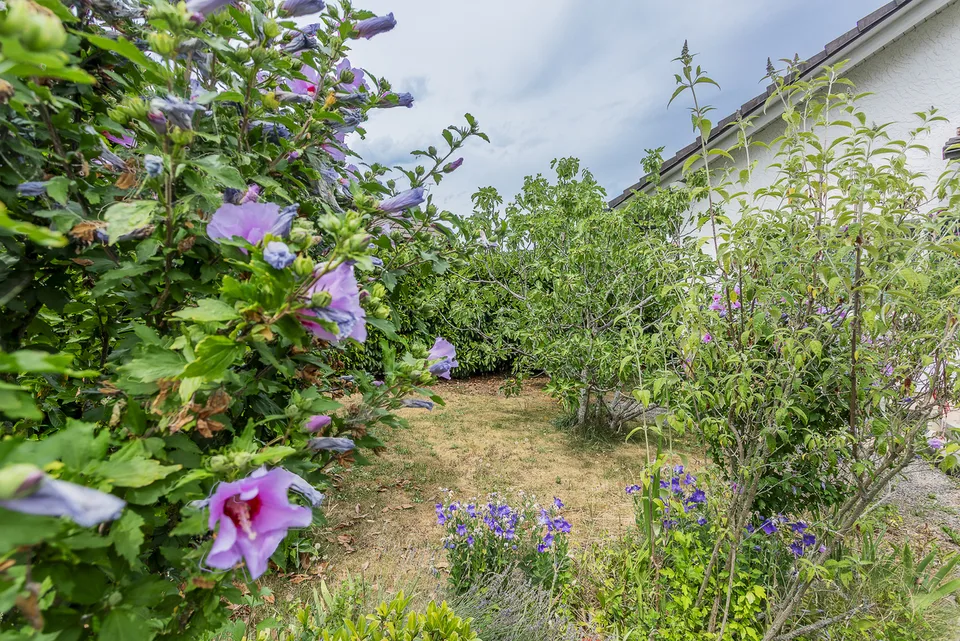Einfamilienhaus mit Garage und Autoverdeck
