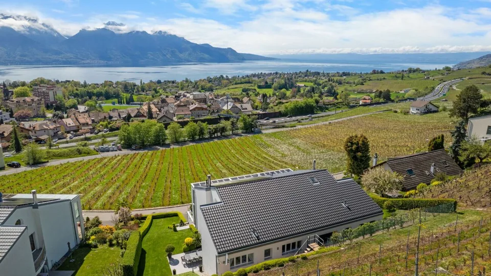 Villa Moderne avec vue panoramique sur le Leman