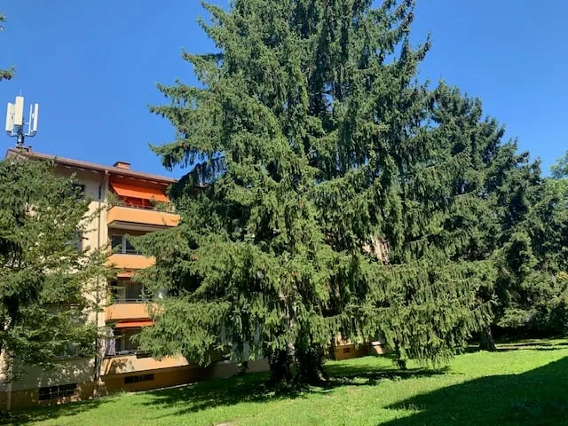 Appartement lumineux et bien entretenu