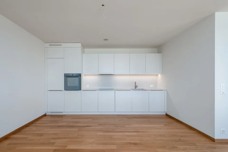 Appartement moderne 1.5 pièces au Dreispitz - Sous-locataire recherché