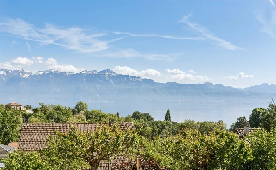 Duplex with exceptional view of the lake - A terrace on Lake Geneva