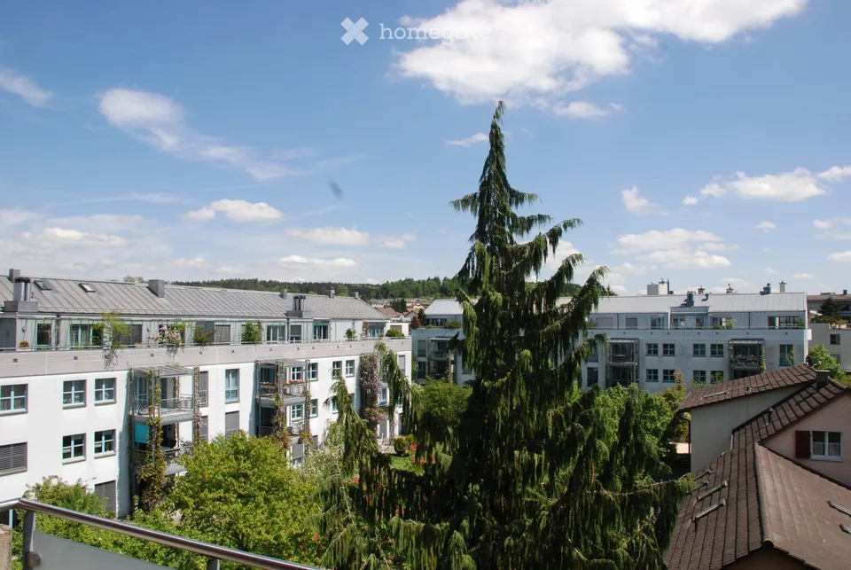Charmant appartement de 4,5 pièces mansardé avec cheminée et balcon à Seuzach