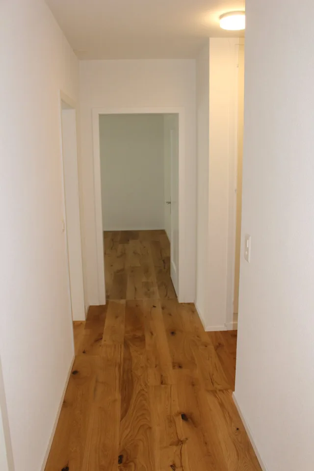 Modern apartment in Länggasse