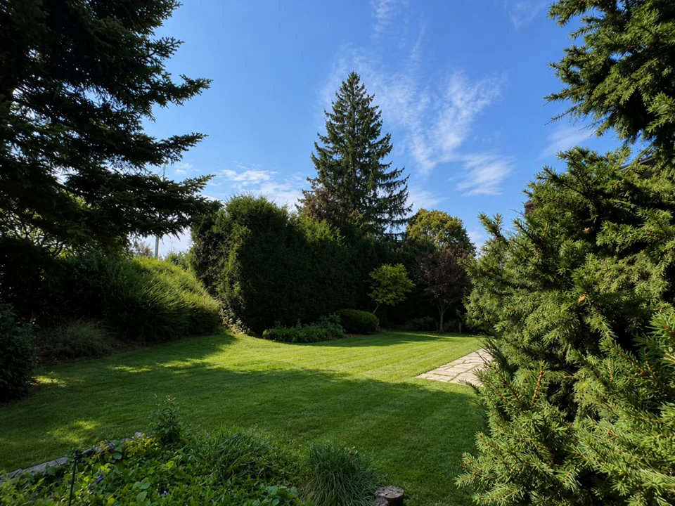 Single-story house to renovate - great potential