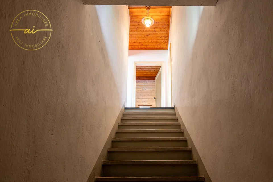 Single-family house with attached commercial space