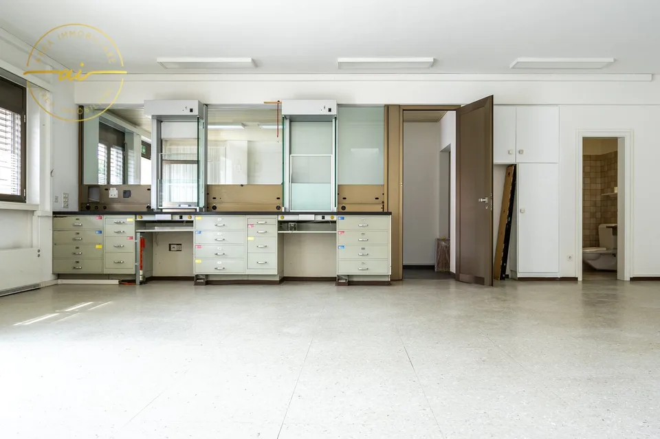 Single-family house with attached commercial space