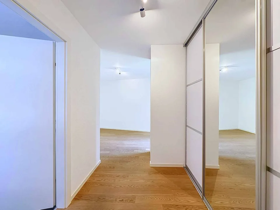 Spacious 5.5-room apartment with terrace and large garden