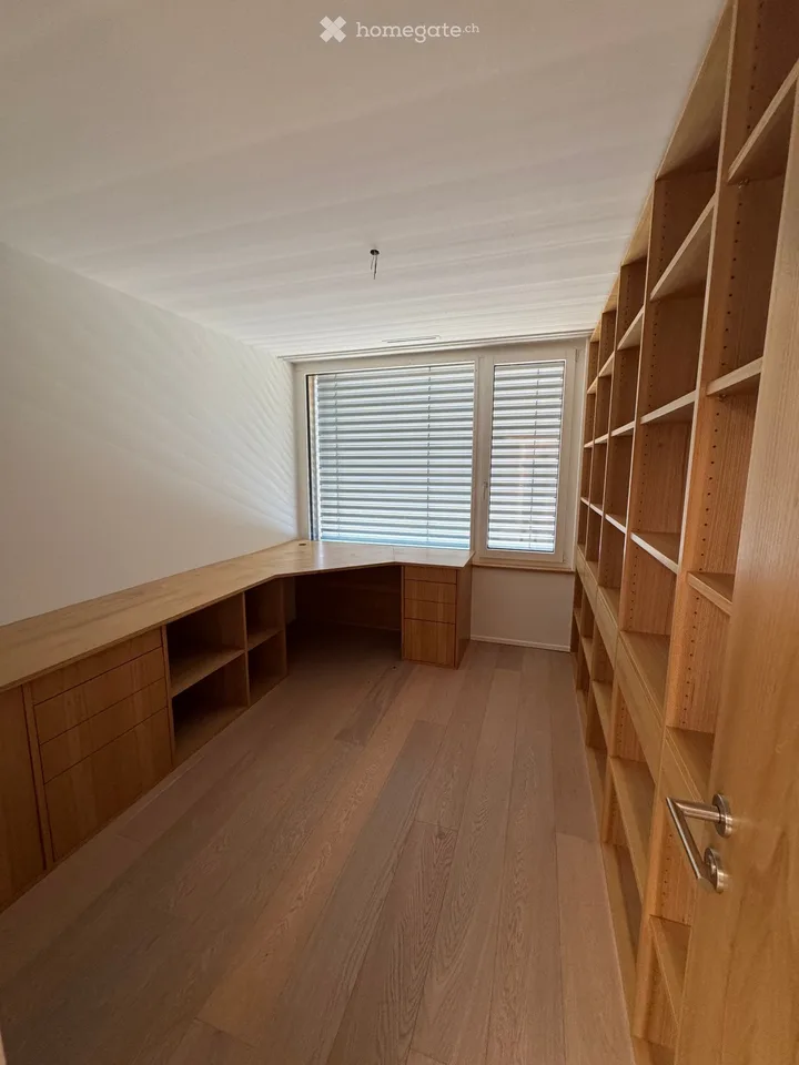 Spacious 5.5-room attic apartment with a view in Winterthur-Seen