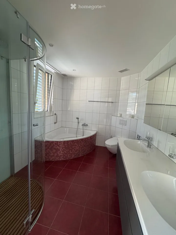 Spacious 5.5-room attic apartment with a view in Winterthur-Seen