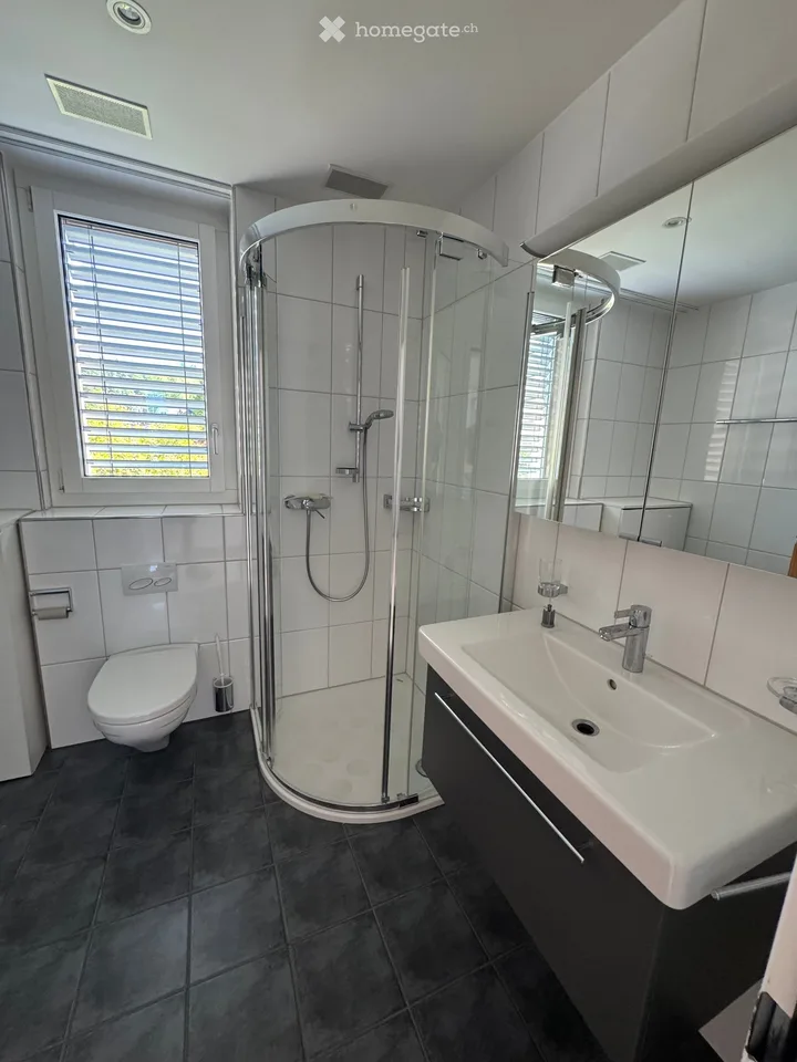 Spacious 5.5-room attic apartment with a view in Winterthur-Seen