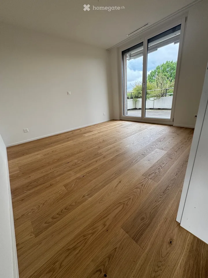 Spacious 5.5-room attic apartment with a view in Winterthur-Seen