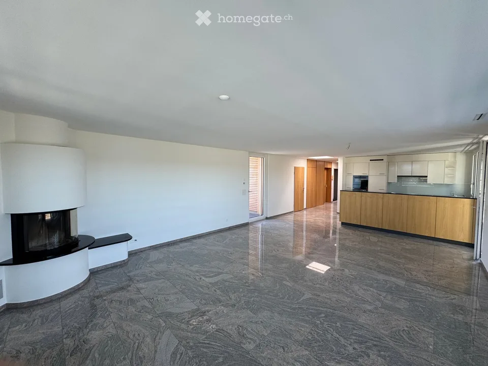 Spacious 5.5-room attic apartment with a view in Winterthur-Seen