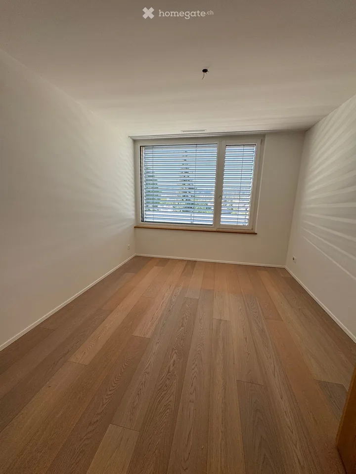 Spacious 5.5-room attic apartment with a view in Winterthur-Seen