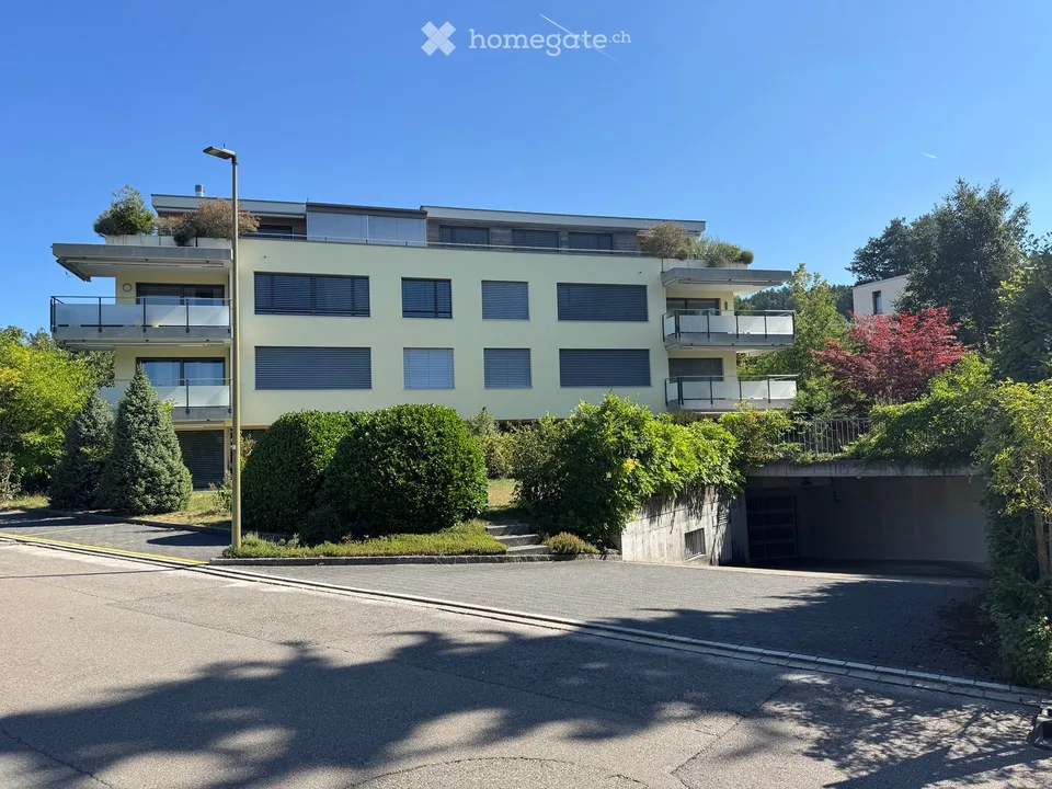 Grosszügige 5.5-Zimmer-Dachwohnung mit Aussicht in Winterthur-Seen