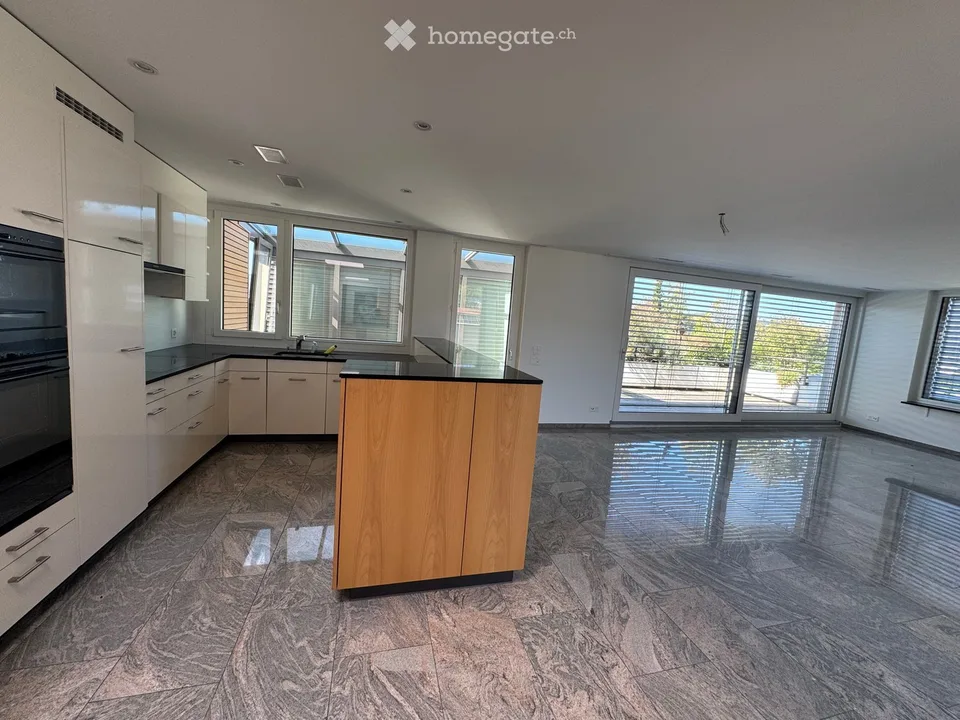 Spacious 5.5-room attic apartment with a view in Winterthur-Seen