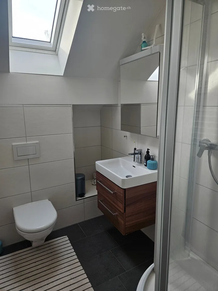 Apartment in Zürich