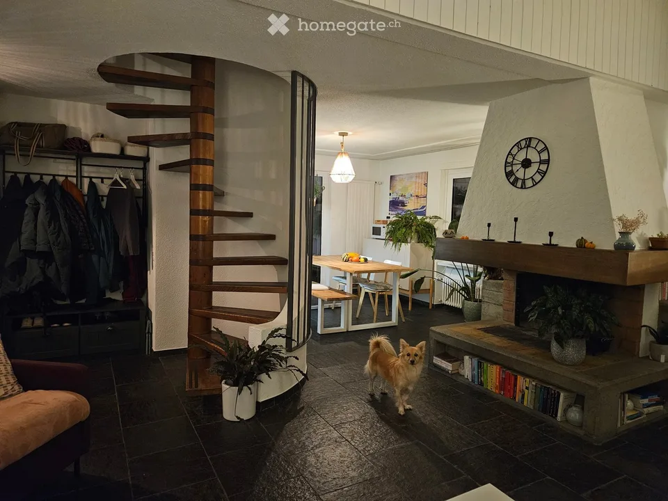 Apartment in Zürich