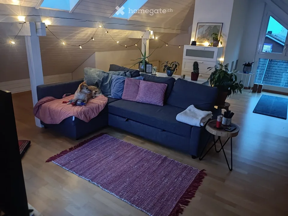 Apartment in Zürich