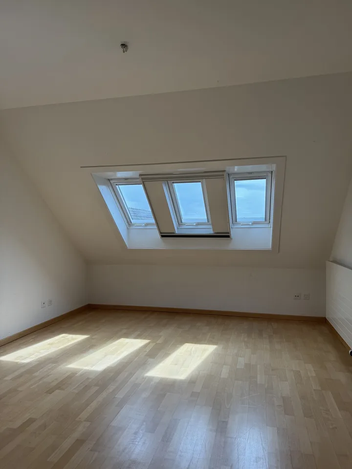 Appartamento luminoso di 5,5 locali all'ultimo piano con un piano spazioso a Hausen am Albis