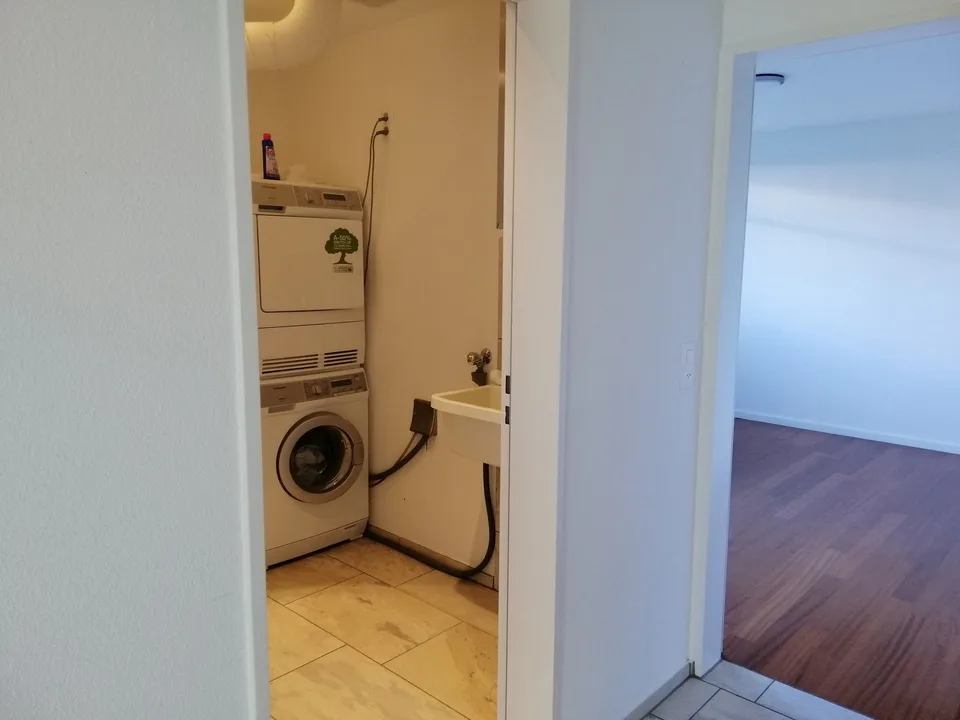 4.5-room apartment with 170 m² garden area