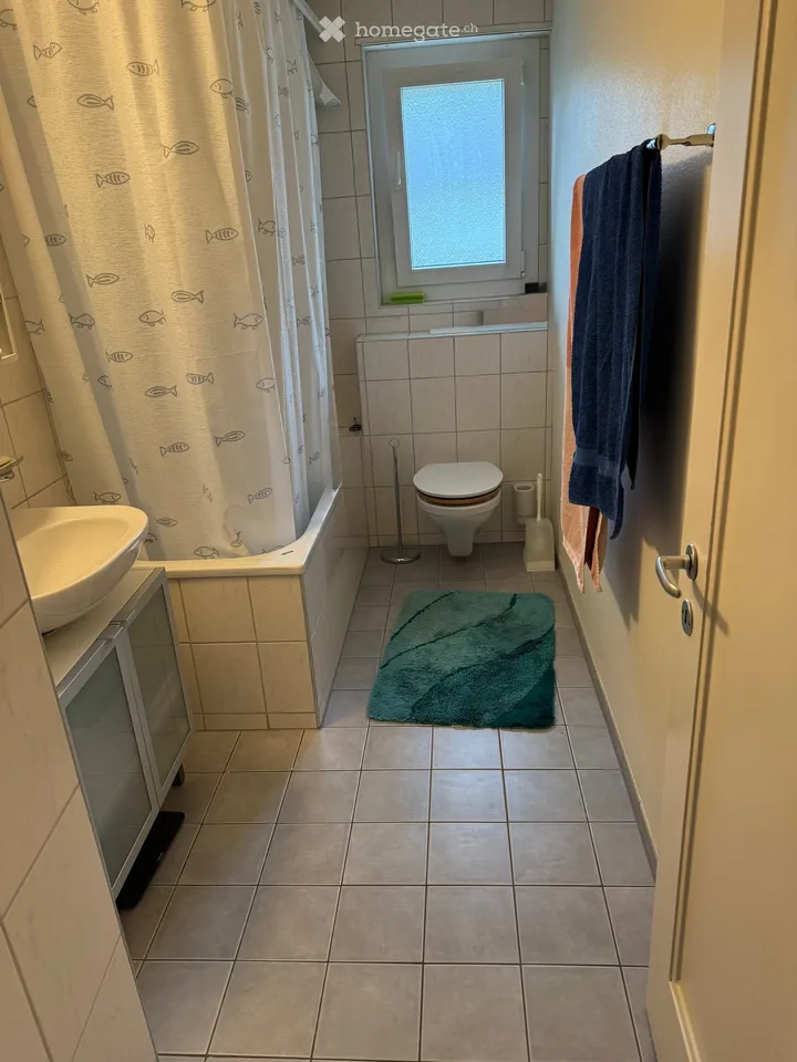 Apartment in Biel/Bienne
