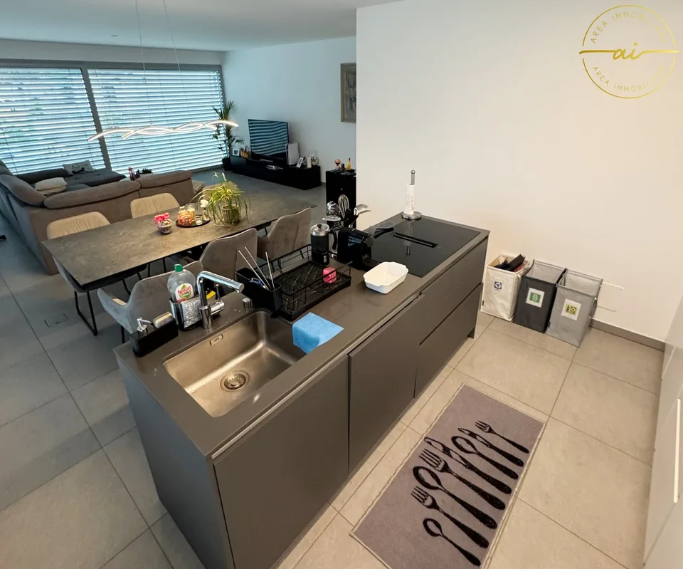 ATTICO 3.5 LOCALI CON AMPIA TERRAZZA NEL CUORE DI BELLINZONA