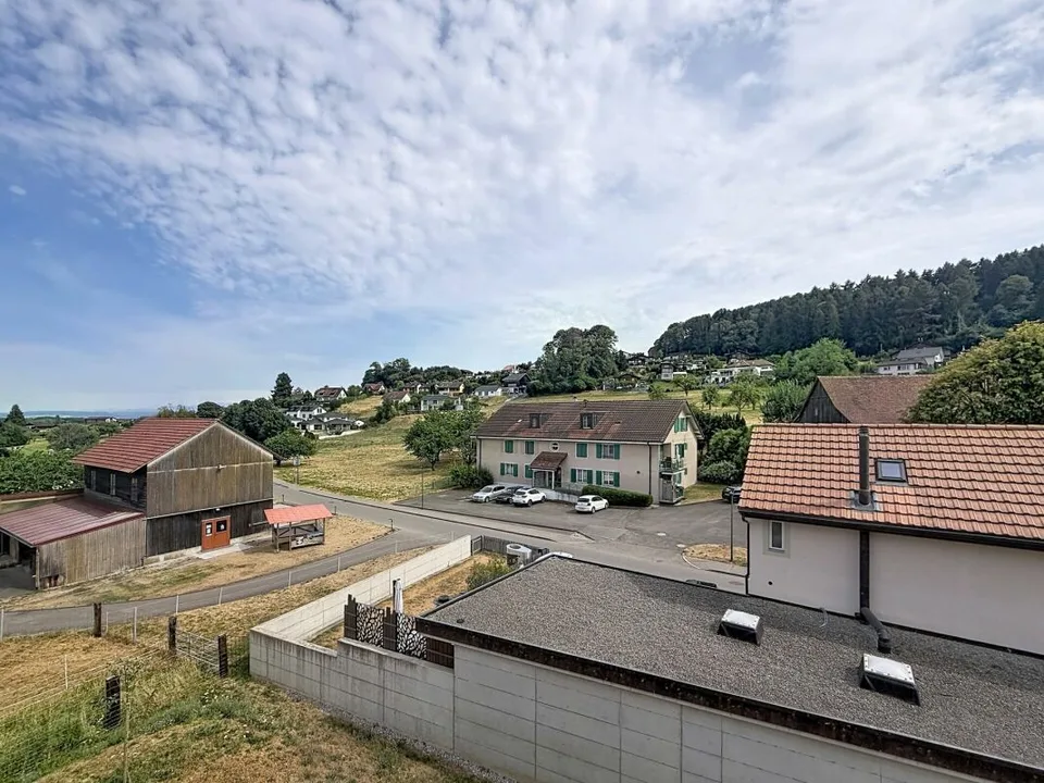 Appartement de 4,5 pièces à Châtillon