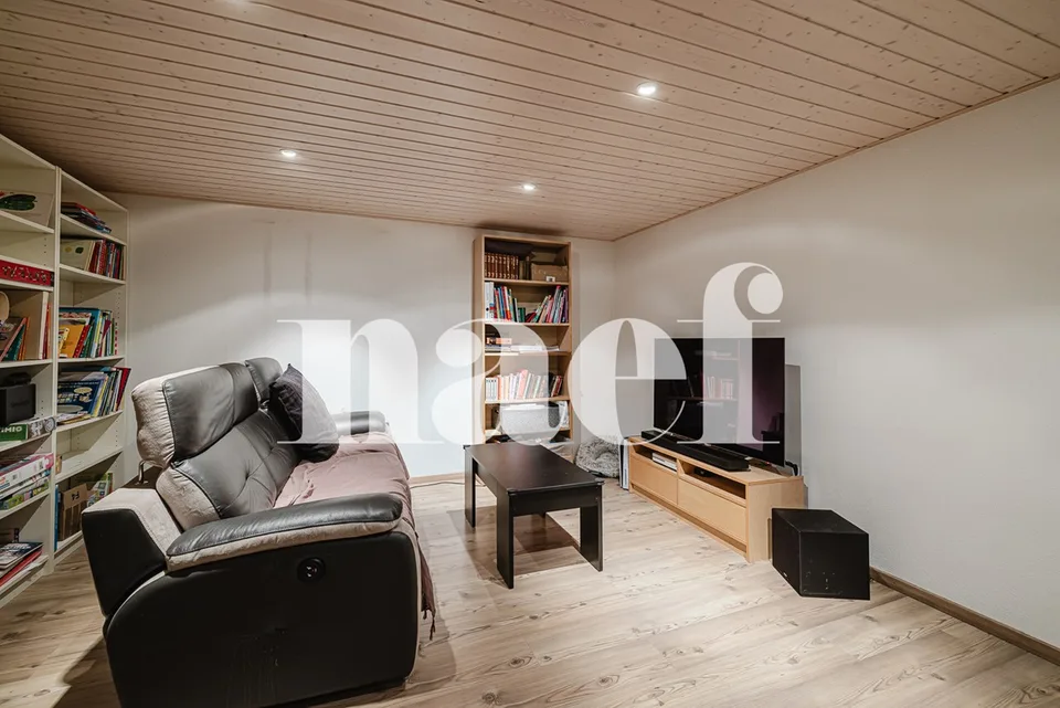 Charming semi-detached villa 230 m² usable plus garden, terrace and double garage in Vernier
