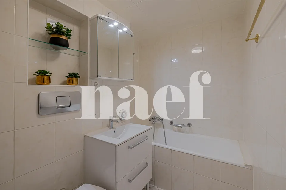 Neighborhood of grand hotels - Magnificent renovated studio - Lake view