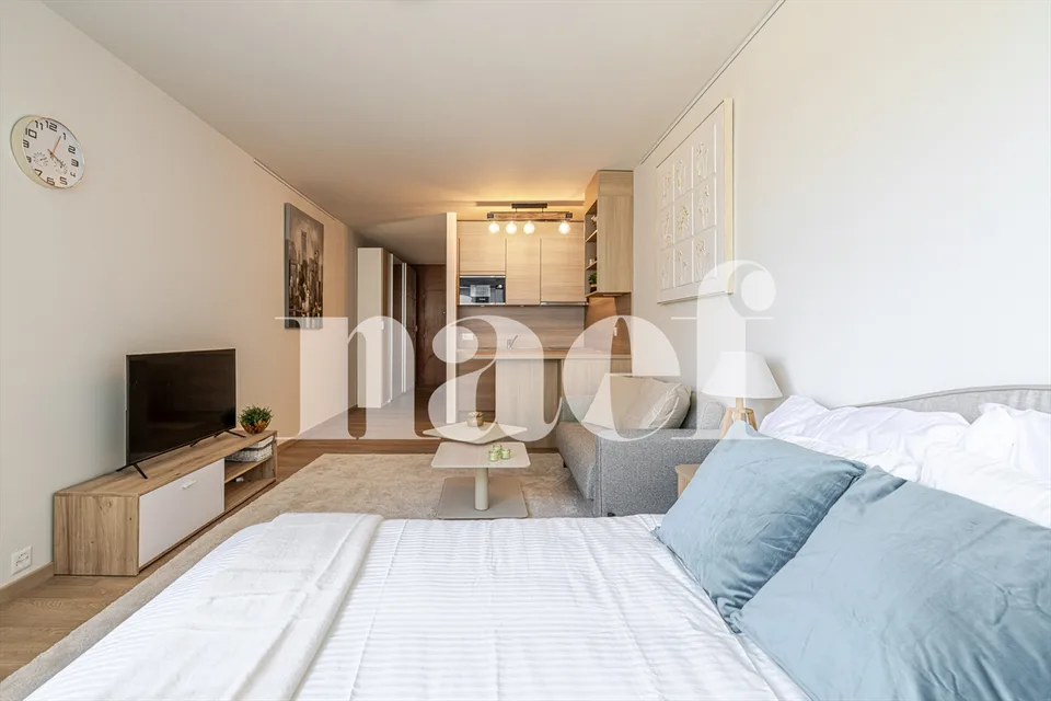 Neighborhood of grand hotels - Magnificent renovated studio - Lake view