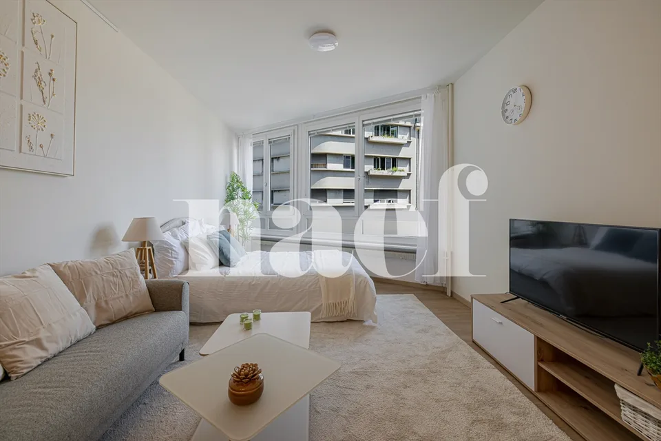 Neighborhood of grand hotels - Magnificent renovated studio - Lake view