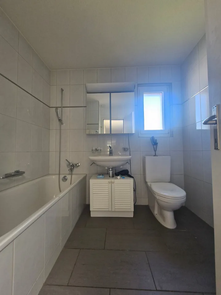 Appartamento attico di 6 locali attraente con camino e vista sul verde