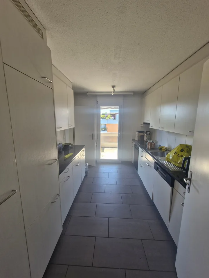 Appartamento attico di 6 locali attraente con camino e vista sul verde