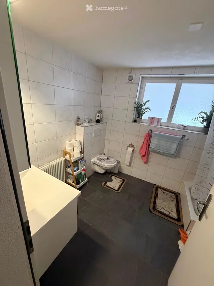 Charmante maisonnette 4.5 pièces à Hornussen