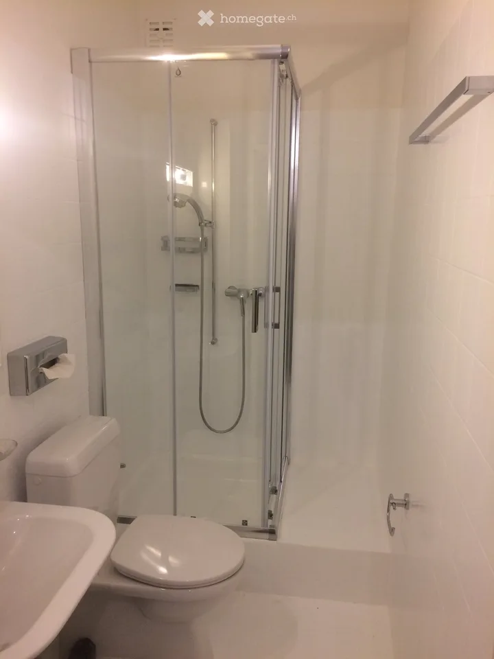 Appartement monolocal meublé dans la via al Chioso 28 à Lugano