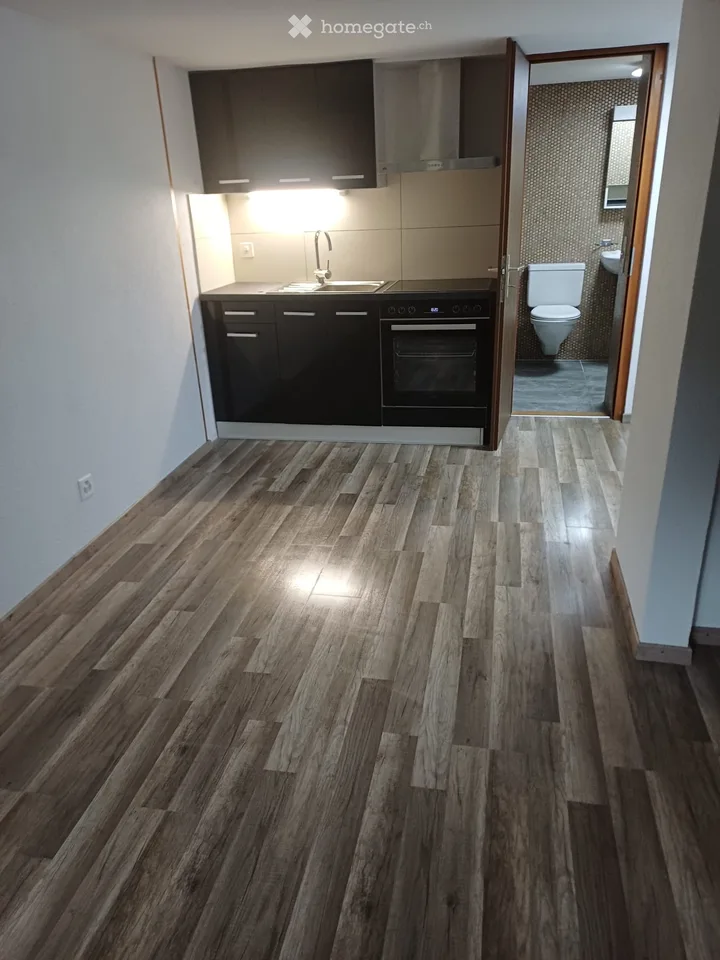 1 Bedroom Apartment