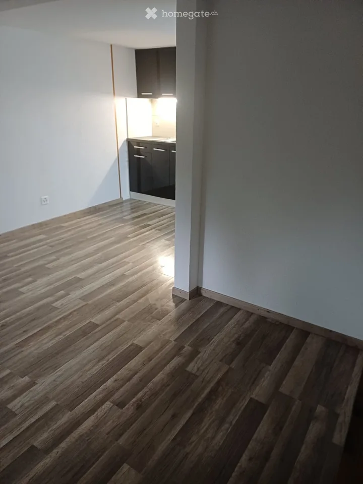 1 Zimmer Wohnung