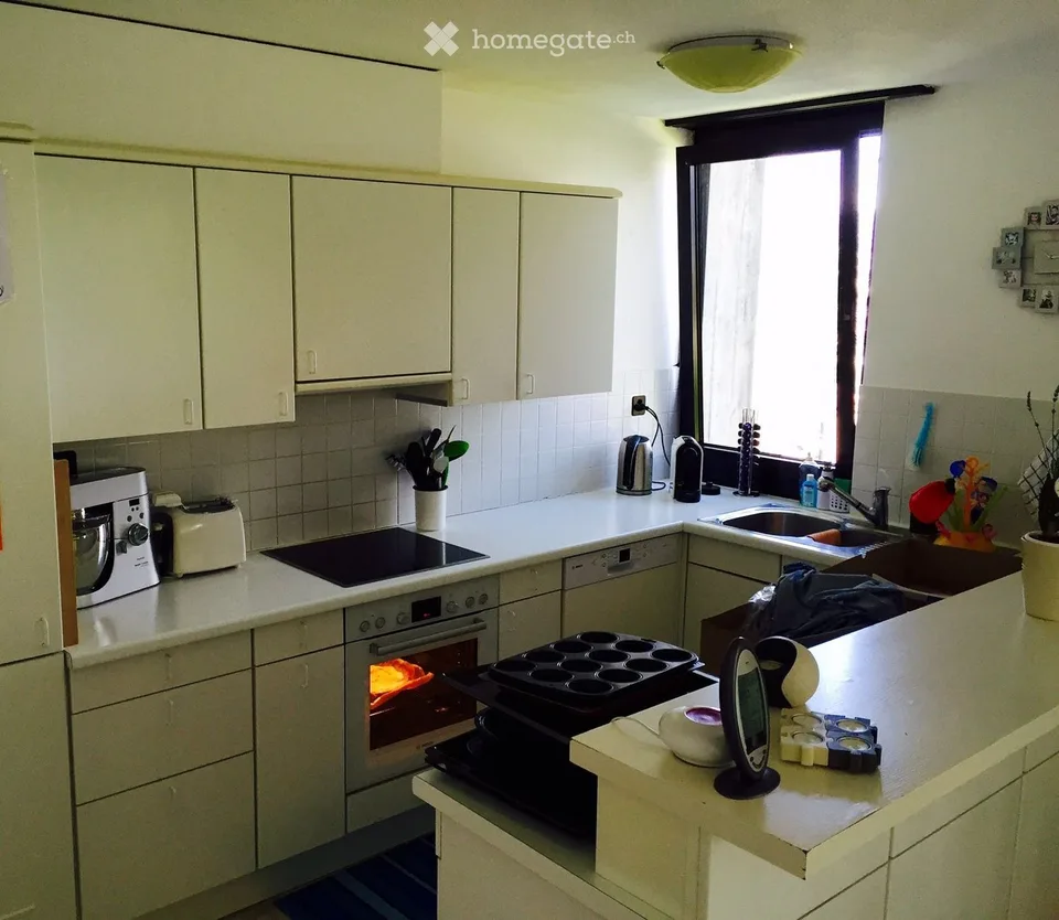 Appartement zur Miete in Paradiso alta