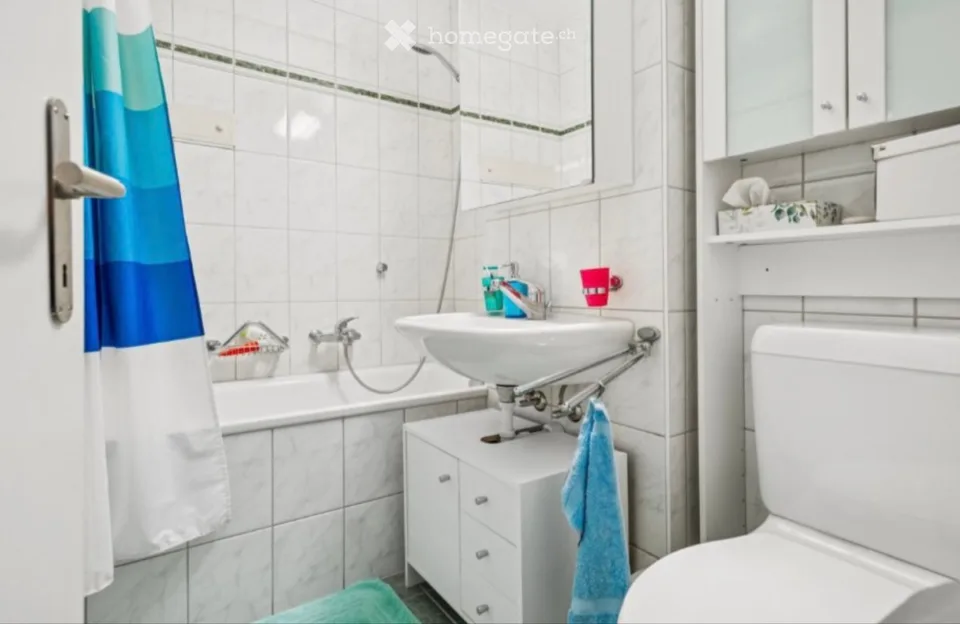 Temporary 4-room apartment for rent in Thalwil