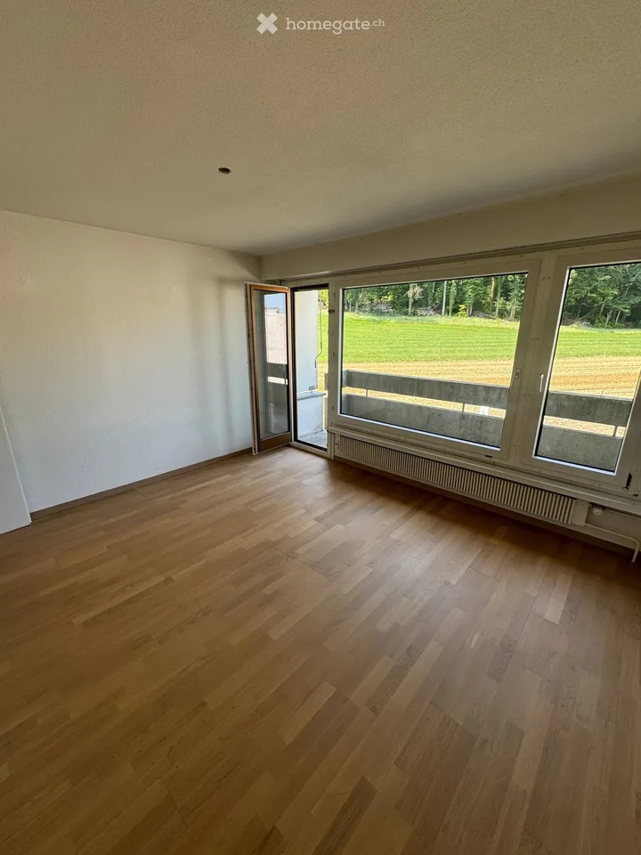 2-Room Apartment in Zurich Ideal for ETH Hönggerberg
