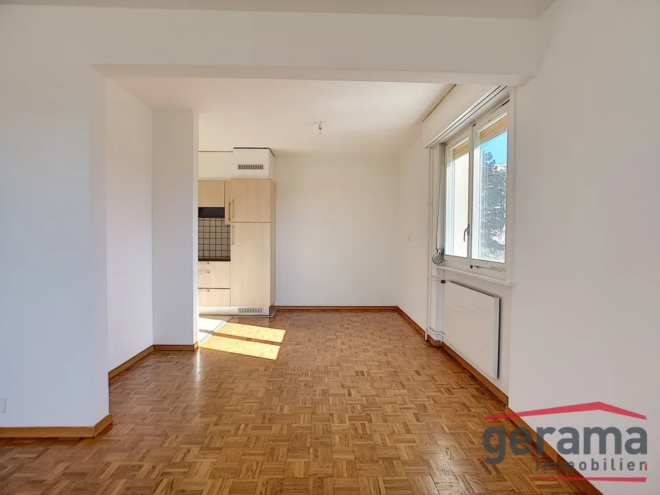 Beautiful 3.5-room apartment