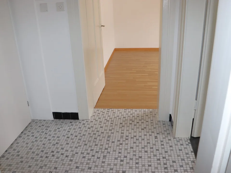 Appartement très attrayant, spacieux 1.5 pièces