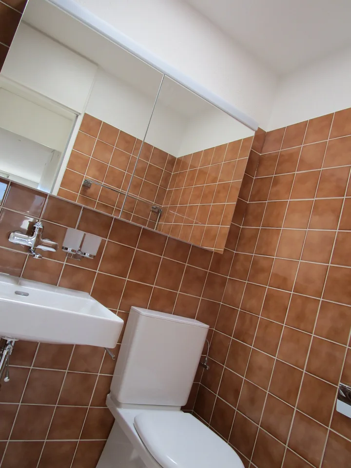5.5-Zimmer-Attikawohnung mit Terrasse und Weitsicht in Oftringen