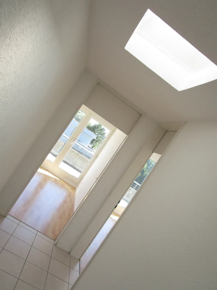 5.5-Zimmer-Attikawohnung mit Terrasse und Weitsicht in Oftringen