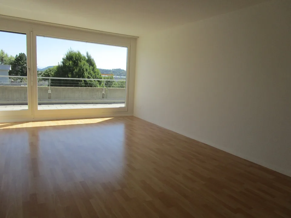 5.5-Zimmer-Attikawohnung mit Terrasse und Weitsicht in Oftringen
