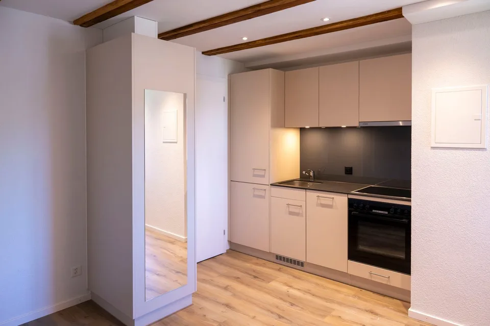 Primo affitto di un delizioso appartamento di 1.5 camere in una posizione tranquilla con un bel cortile interno e vista sul Pilatus