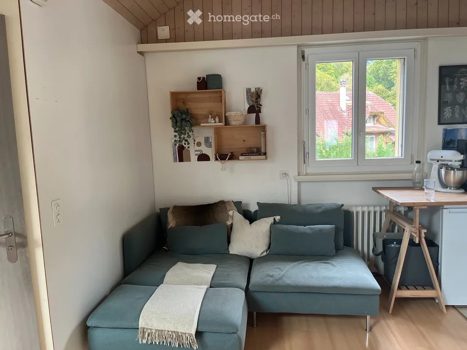 3 1/2 pièces appartement mansardé