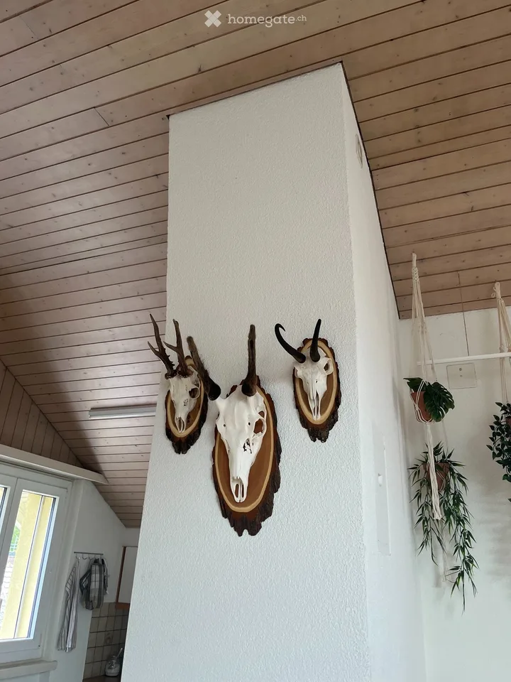 3 1/2 pièces appartement mansardé
